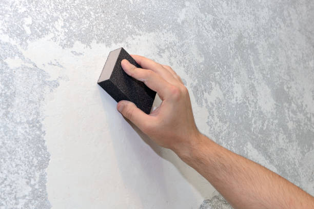 Best Industrial Mold Remediation  in Buena Vista, CO