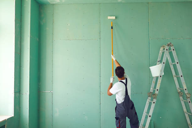 Best Attic Mold Removal  in Buena Vista, CO