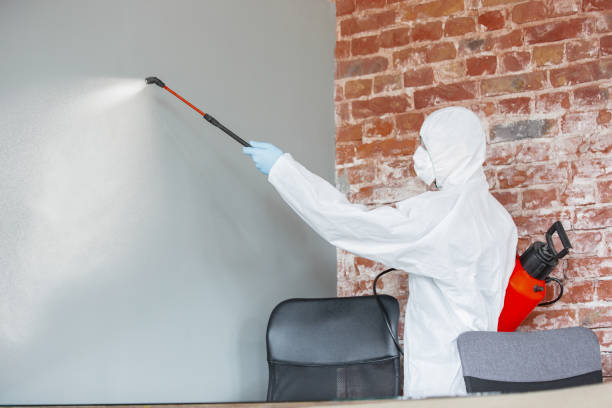 Best Mold-Related Health Consultation  in Buena Vista, CO