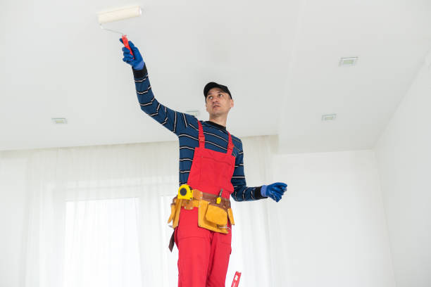 Best Mold Odor Removal Services  in Buena Vista, CO