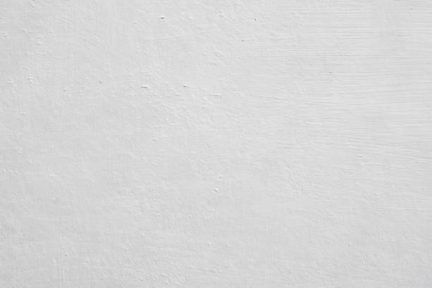 Best Mold Damage Restoration  in Buena Vista, CO