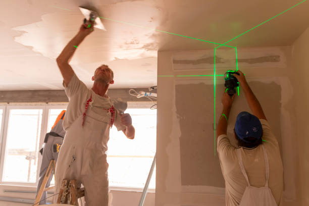 Best Emergency Mold Remediation  in Buena Vista, CO