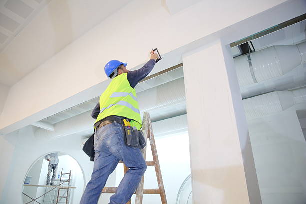 Trusted Buena Vista, CO Mold Removal Experts