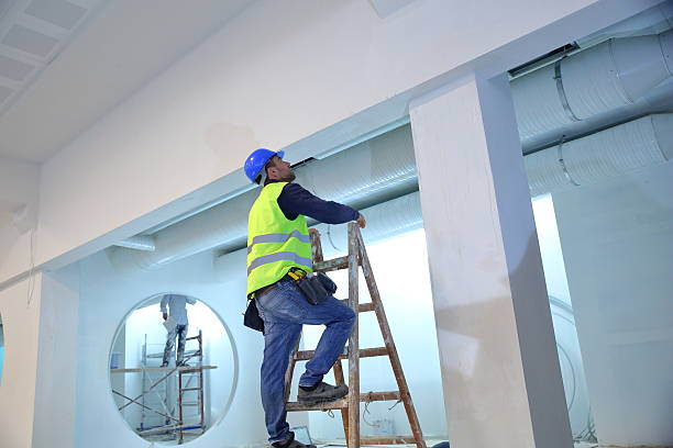 Mold Odor Removal Services in Buena Vista, CO